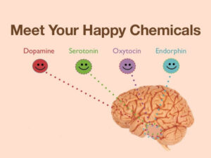 Brain with happy chemicals: dopamine, serotonin, oxytocin and endorphins.